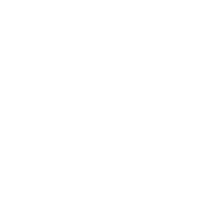 Logo de UC en version blanc : lion avec une couronne